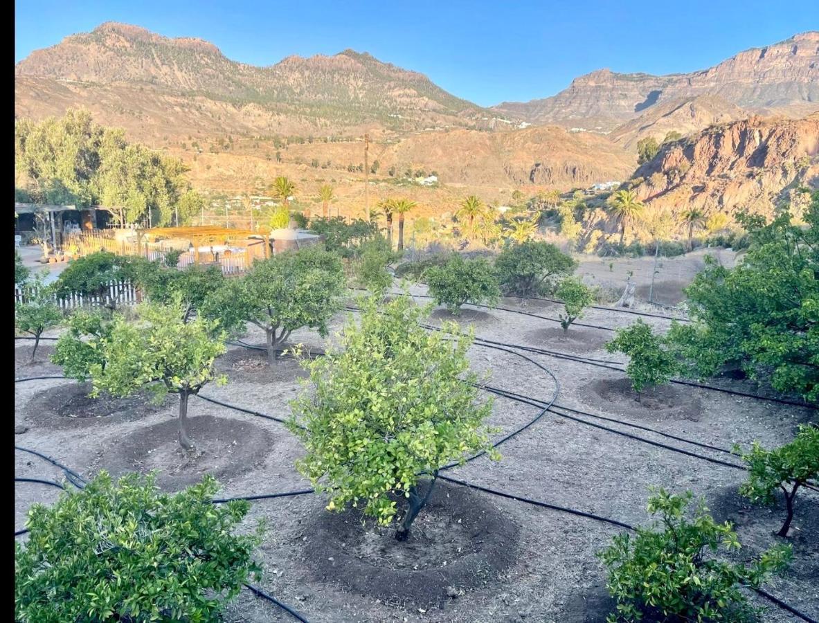 Casa Rural La Limera Con Piscina Privada Santa Lucia 외부 사진