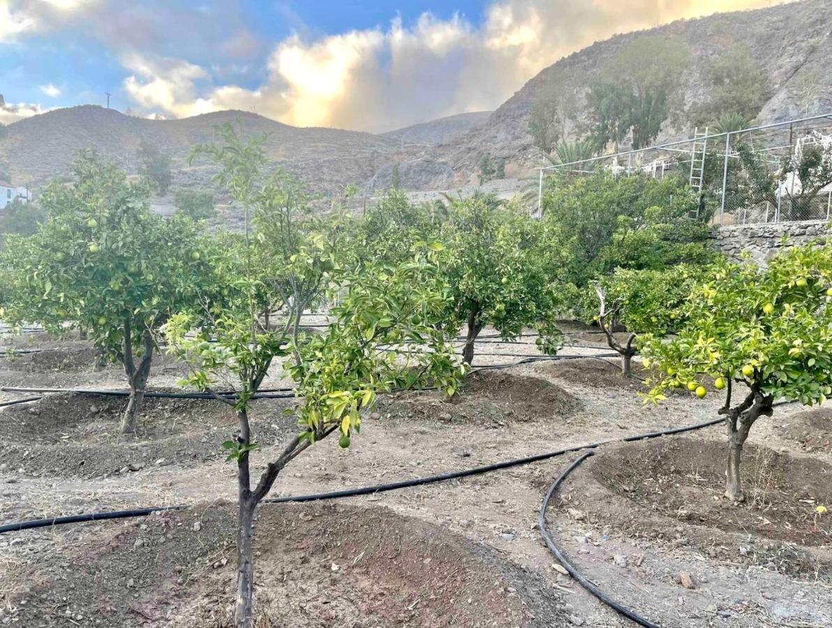 Casa Rural La Limera Con Piscina Privada Santa Lucia 외부 사진